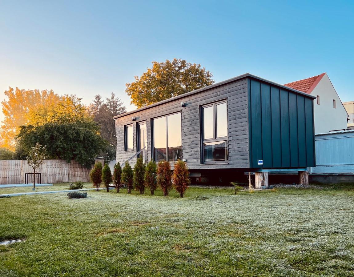 Tiny Campus Villa Targu Secuiesc Bagian luar foto